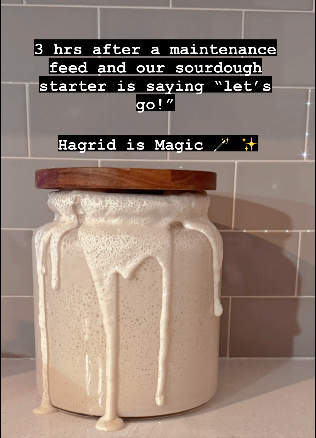 Hagrid-The Dehydrated Sourdough Starter